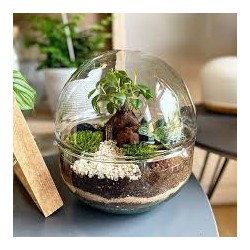 Ateliers terrarium marin