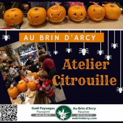 Atelier Citrouille du 29/10/25